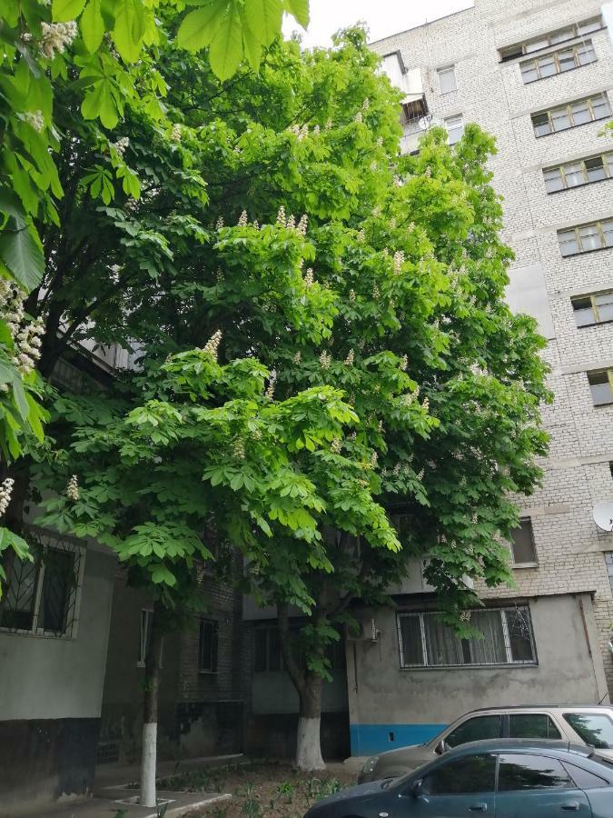 Apartments near the sea أوديسا المظهر الخارجي الصورة